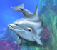 Dolphin`s Pearl